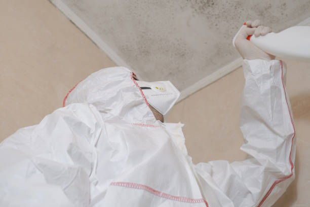 Best Industrial Mold Remediation in England, AR